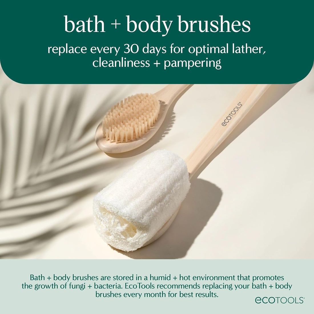 EcoTools Dry Body Brush – Exfoliating & Smoothing, Cruelty-Free, 1 Count